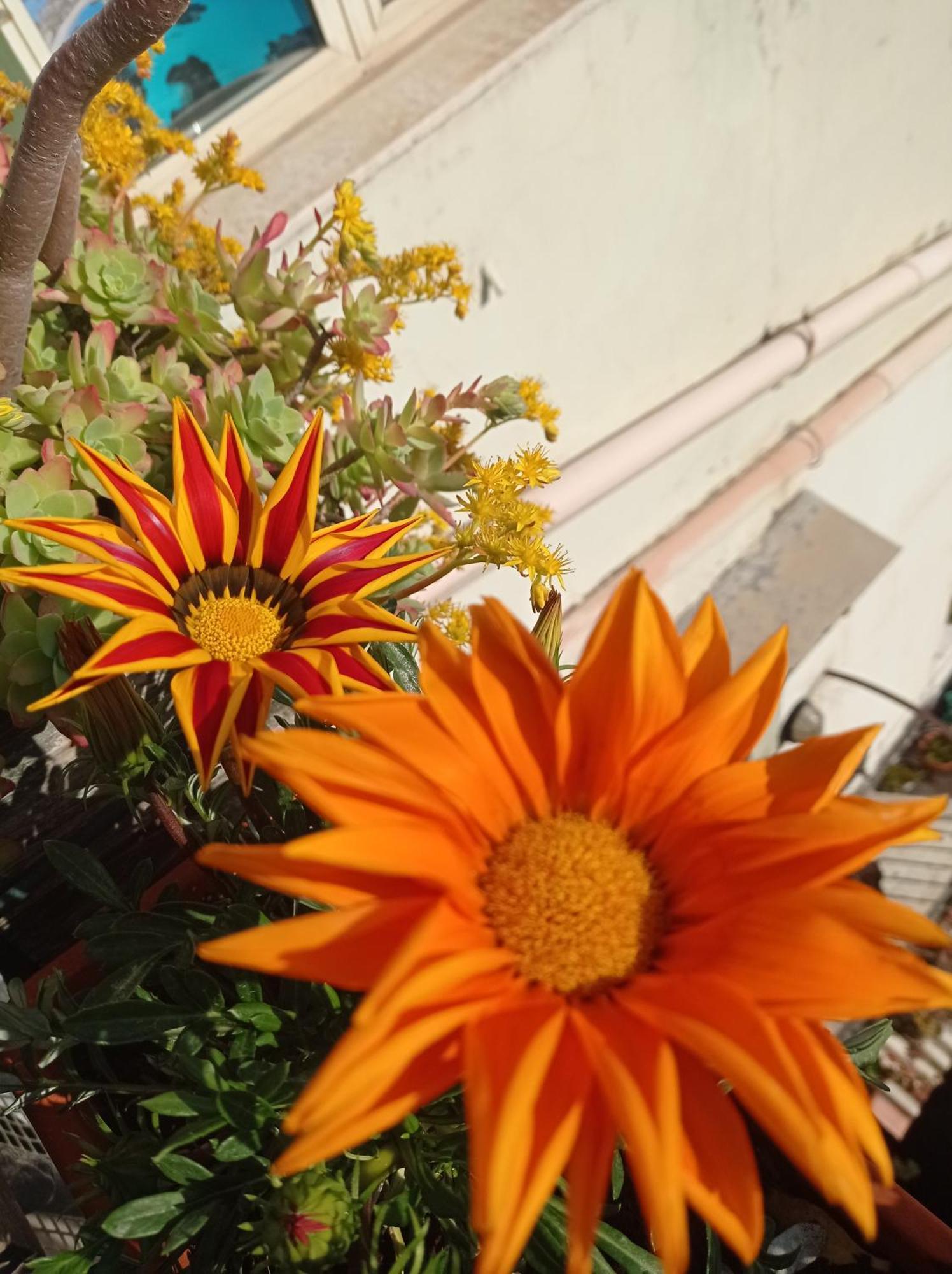 Alojamento de Acomodação e Pequeno-almoço Museum Nápoles